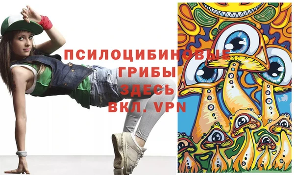ALPHA PVP Армянск