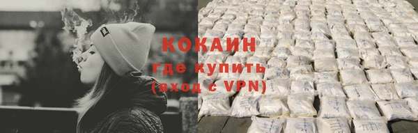 гидра Пересвет