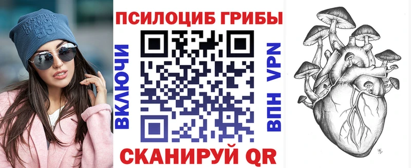блэк спрут tor  Кинель  Псилоцибиновые грибы ЛСД 