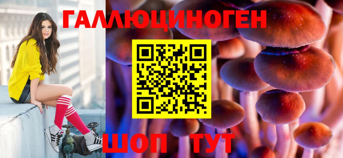 Псилоцибиновые грибы MAGIC MUSHROOMS Кинель