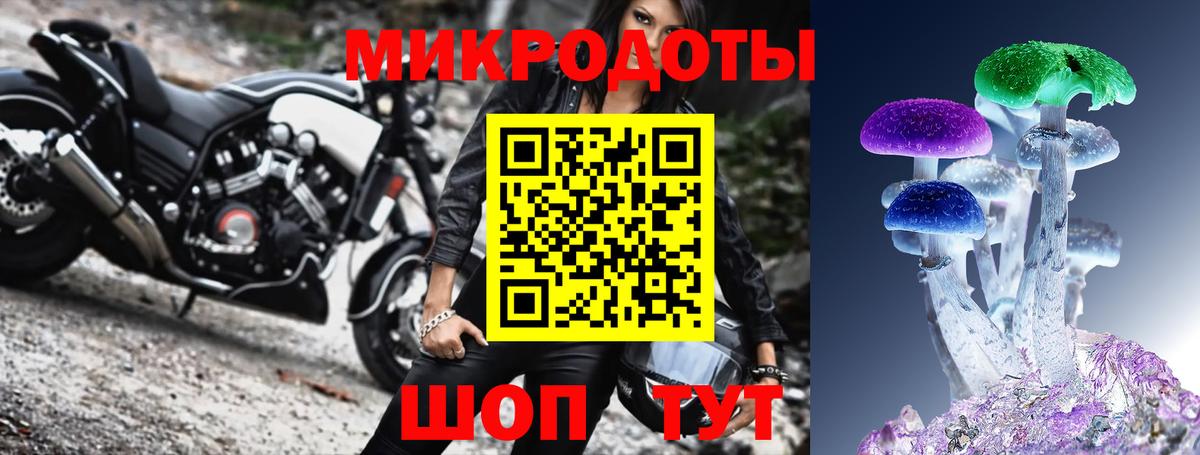 Кинель  Псилоцибиновые грибы прущие грибы  Вход с VPN 